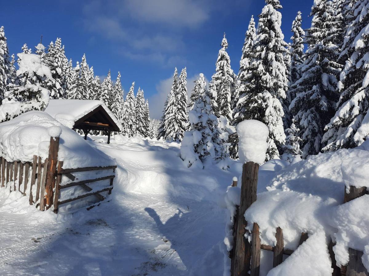 Vila Jelena Jahorina Kültér fotó