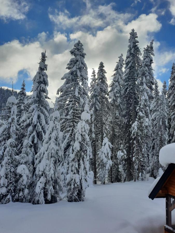 Vila Jelena Jahorina Kültér fotó