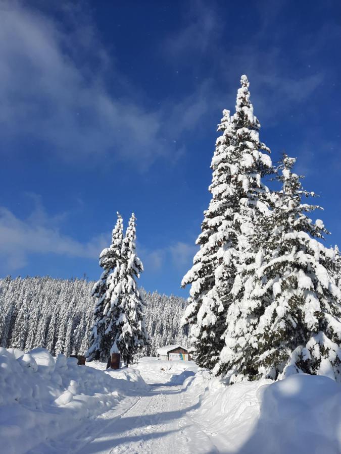 Vila Jelena Jahorina Kültér fotó