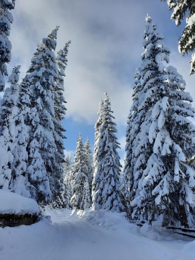 Vila Jelena Jahorina Kültér fotó