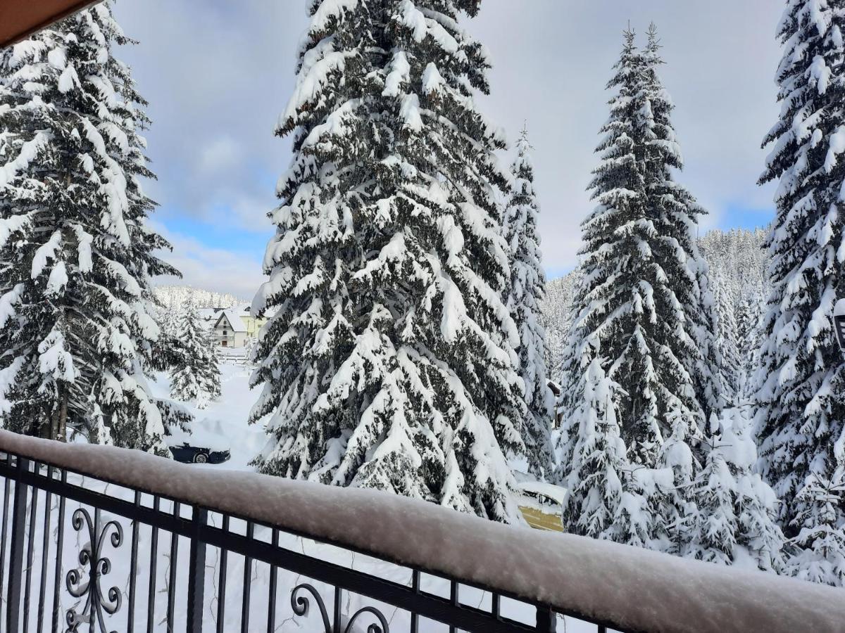 Vila Jelena Jahorina Kültér fotó