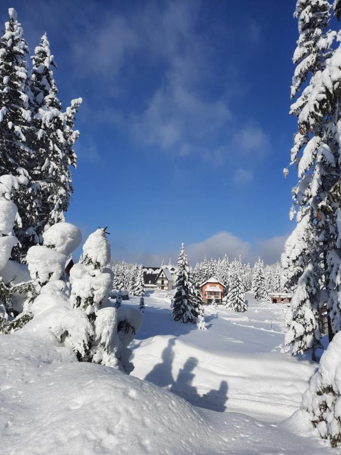 Vila Jelena Jahorina Kültér fotó