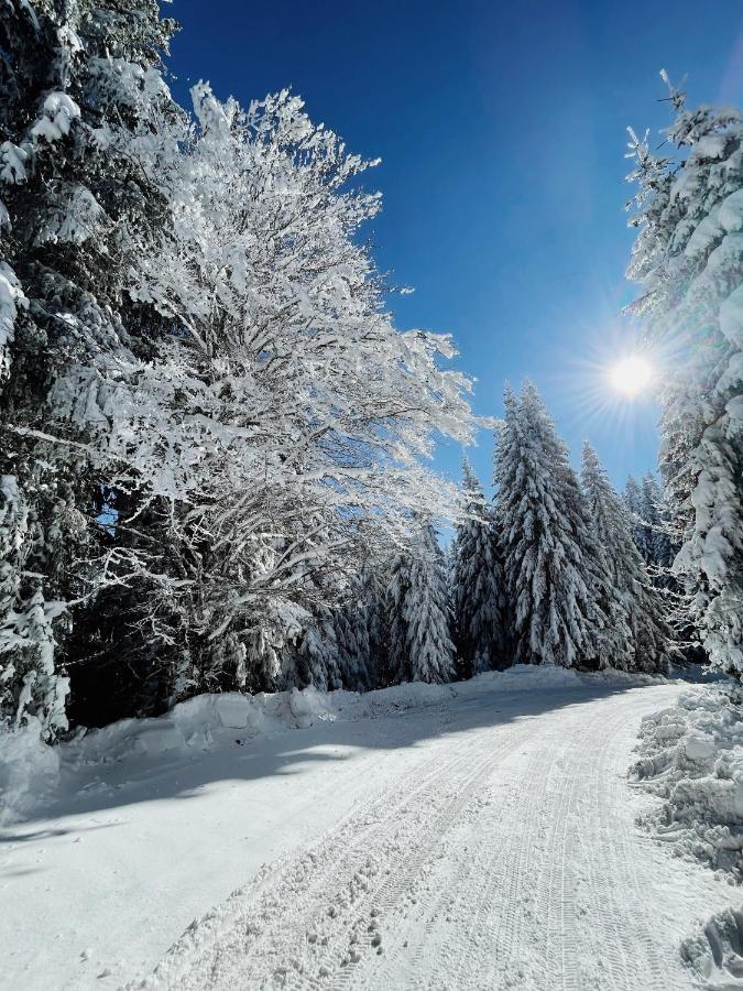 Vila Jelena Jahorina Kültér fotó